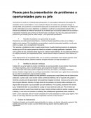 Pasos para la presentación de problemas u oportunidades para su jefe