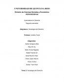 TEMA: LA SOCIOLOGIA DEL DERECHO