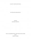 ¿Qué entiende por Derechos Fundamentales?