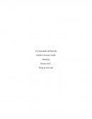 Tema importante: Las Necesidades del Mercado.