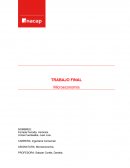 TRABAJO FINAL. Microeconomía
