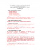 DERECHO PROCESAL CONSTITUCIONAL Y AMPARO CUESTIONARIO