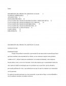 DESCRIPCIÓN DEL PRODUCTO, SERVICIO O LUGAR: GOOGLE GLASS