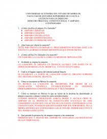 DERECHO PROCESAL CONSTITUCIONAL Y AMPARO CUESTIONARIO. Página 1