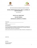 ESCUELA PREPARATORIA OFICIAL ANEXA A LA NORMAL DE CUAUTITLAN IZCALLI.