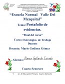 TEMA> PORTAFOLIO DE EVIDENCIAS.