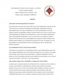 ¿Qué puntos encuentras importantes en la lectura?