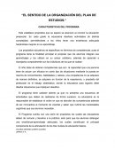 El sentido de la organización del plan de estudios