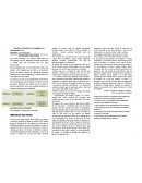 LOS VALORES Y LOS ATAJOS.