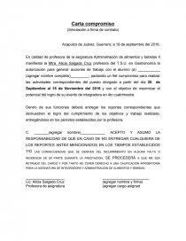 Carta compromiso.Ejemplo. Página 1