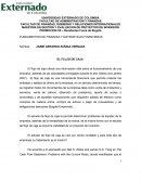 ENSAYO FLUJO DE CAJA.