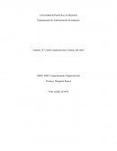 Capítulo 18: Cambio organizacional y manejo del estrés.