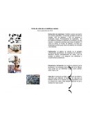 Ciclo de vida de un telefono celular.