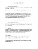 Ejemplo práctico breafing control gastos