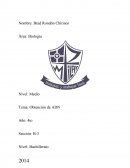 Tema: Obtención de ADN