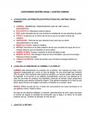 CUESTIONARIO SISTEMA VISUAL Y AUDITIVO HUMANO.