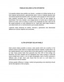 PANELES SOLARES ULTRA EFICIENTES.