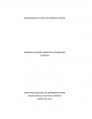INDECADORES DE GESTION EMPRESA CEDIRIS EVIDENCIA.