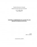 Desarrollo embrionario de las aves.