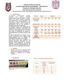 PRACTICA CURVA TIPO DE AZUCARES REDUCTORES