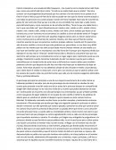 Colorín colorado es una novela de Odin Dupeyron