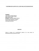 Contaminación auditiva en buenavetura.