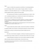 Etapa 1 y 2 matematicas.