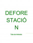 Deforestacion. Tala de Arboles