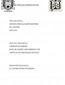 Preliminar de consignación.