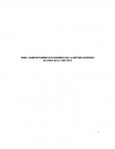 COMPORTAMIENTO ECONÓMICO DE LA MIPYME UNIVERSO SILVANA EN EL AÑO 2015