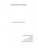 Las siete claves del exito de Disney.
