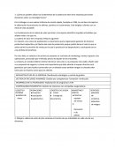 La cadena de valor de la empresa
