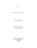 Desarrollo y educación para el desarrollo