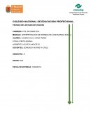 INTERPETRACION DE NORMAS DE CONVIVENCIA SOCIAL