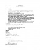 Importancia de la Educación Básica.