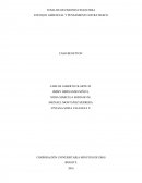 TOMA DE DECISIONES FINANCIERA ENFOQUE GERENCIAL Y PENSAMIENTO ESTRATEGICO.