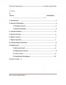 Pryoecto empresarial La empresa” CERMAR BOLIVIA