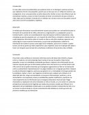 Lo importante del estudio.