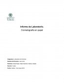 Informe de Laboratorio. Cromatografía en papel