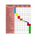 Cuidados al recién nacido por madres adolescentes.