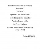 ALGEBRA. Serie de ejercicios resueltos