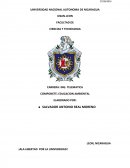 TRABAJO DE EDUCACION AMBIENTAL