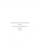 Sistemas de protección de seguridad industrial.