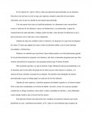 Comentario Ser y tener.