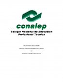 Ensayo de calculo diferencial.