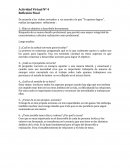 Actividad Virtual Nº 4 Reflexión Final