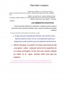 LOS AMBIENTES ACUATICOS