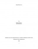 Proyecto natural food..