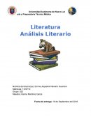 Analisis literario de "La ladrona de libros