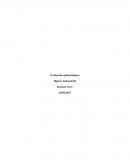 Evaluación epidemiológica. Higiene Industrial